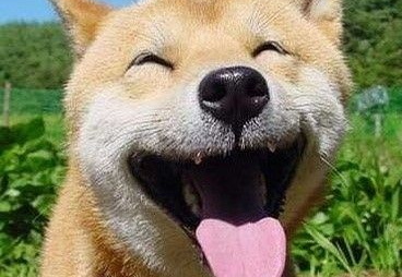 心情棒棒