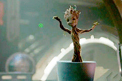 I am groot 小树人格鲁特跳舞 (38419 visits) I am groot 小树人格鲁特跳舞